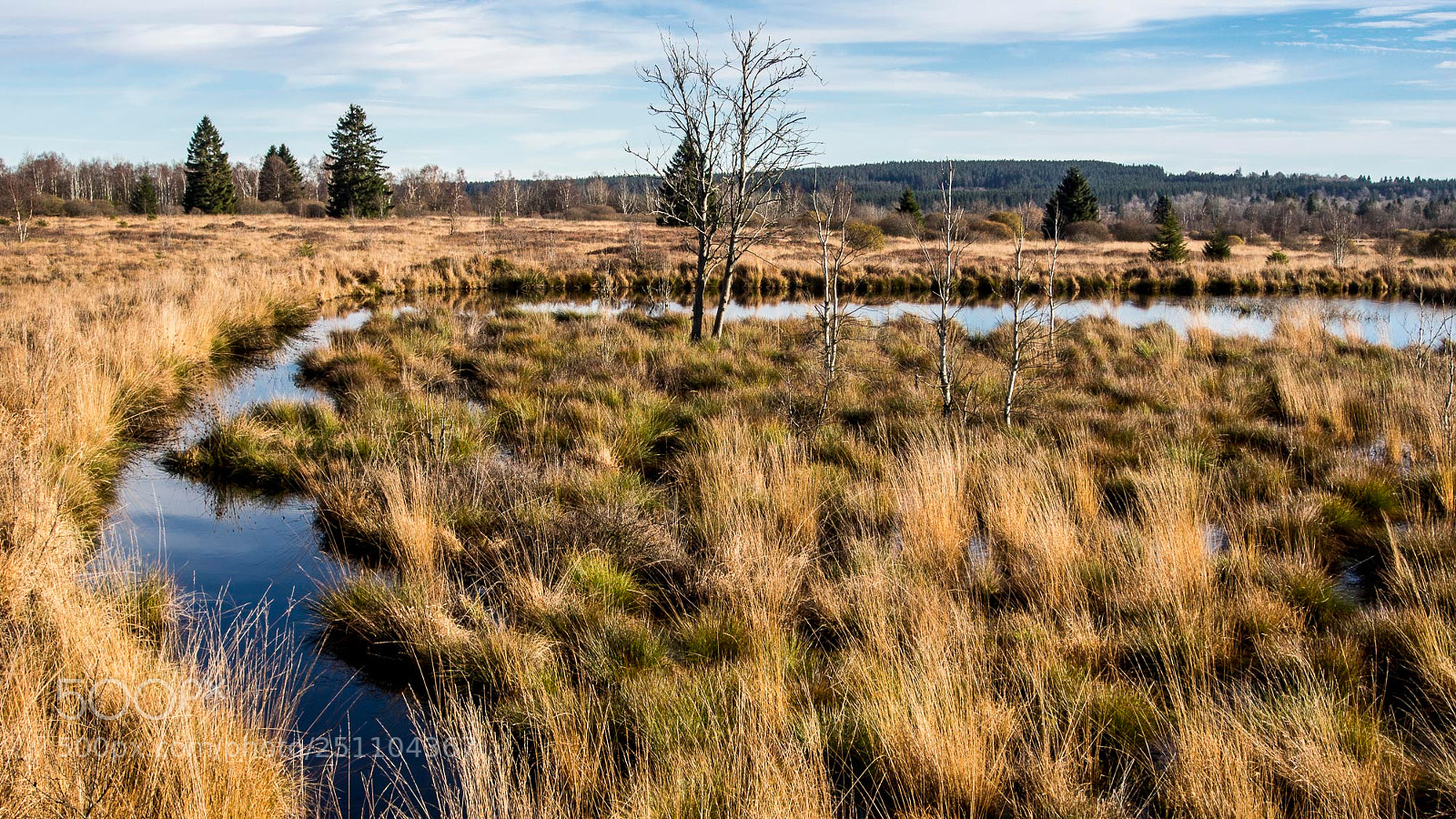 Olympus OM-D E-M5 sample photo. Brackvenn photography