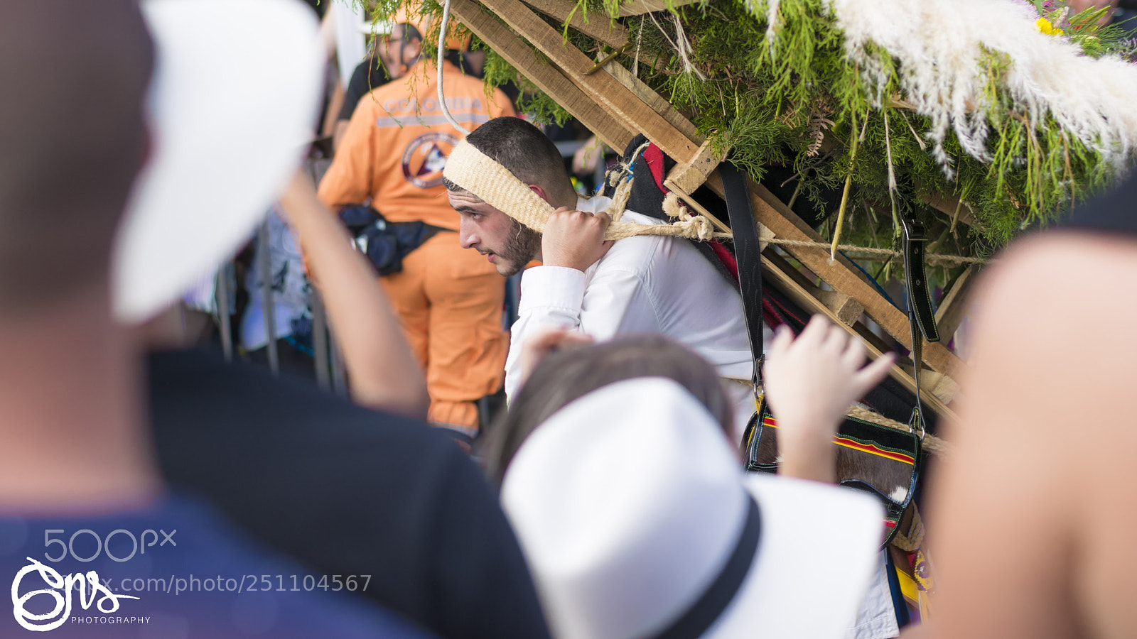 Nikon D5300 sample photo. Flower fair, parade 2017 photography