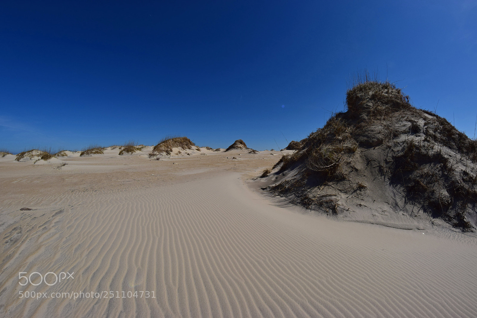 Nikon D5300 sample photo. Sunny dunes photography