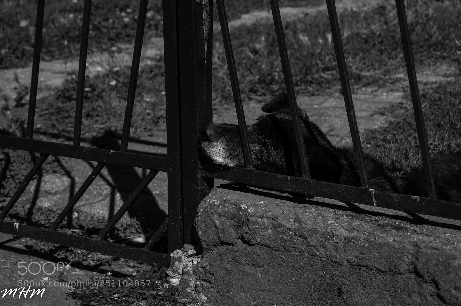 Nikon D3200 sample photo. Esperando... photography