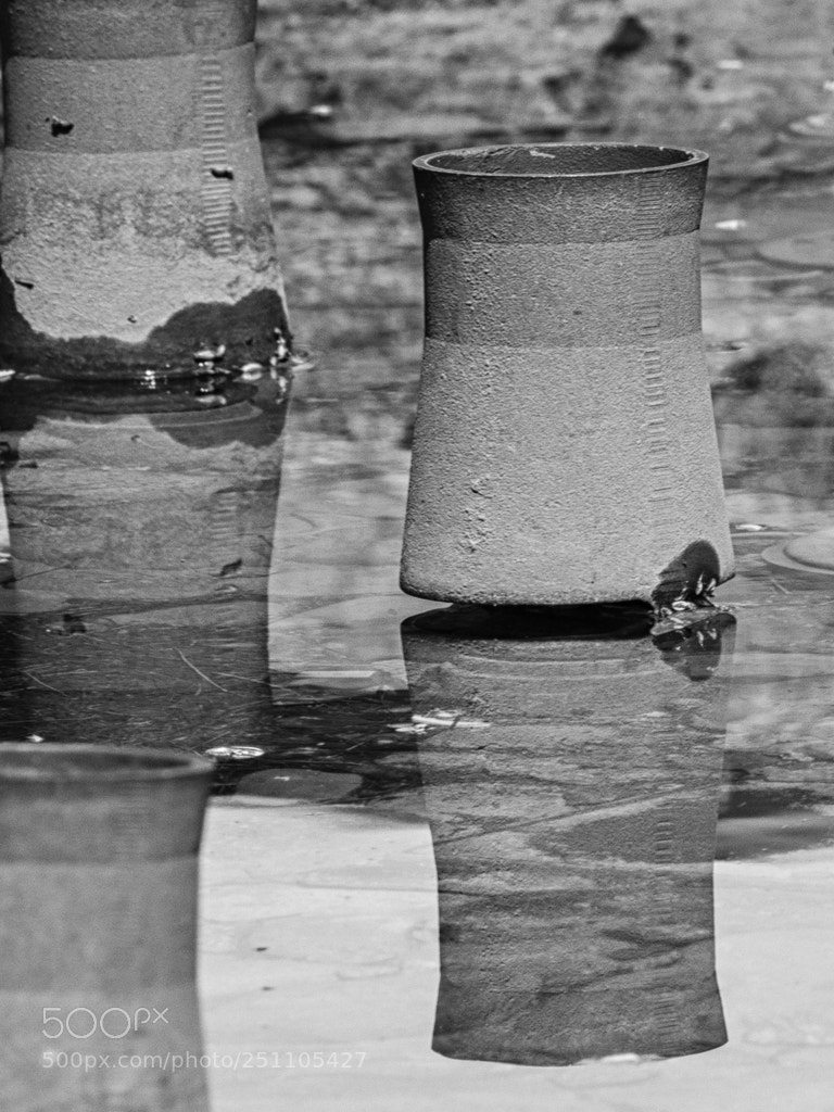 Olympus OM-D E-M5 II sample photo. Water pot photography