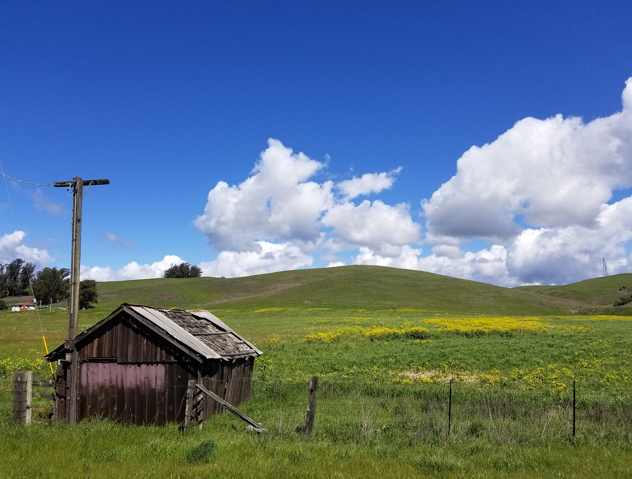 Samsung Galaxy S8 Active sample photo. Utility shed photography