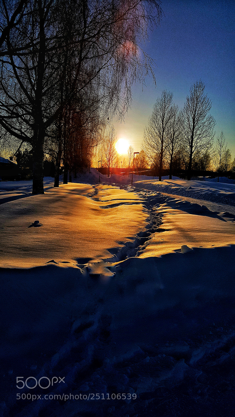 Samsung Galaxy S6 sample photo. Winter photography