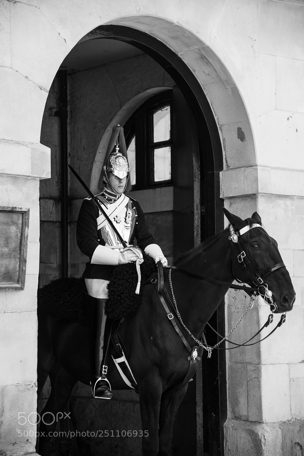 Nikon D600 sample photo. On guard photography