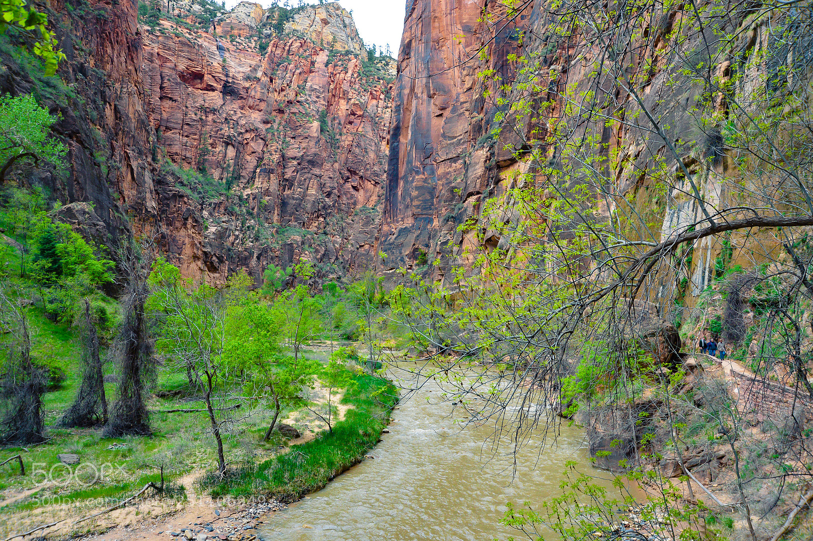 Nikon D600 sample photo. Virgin riverside photography