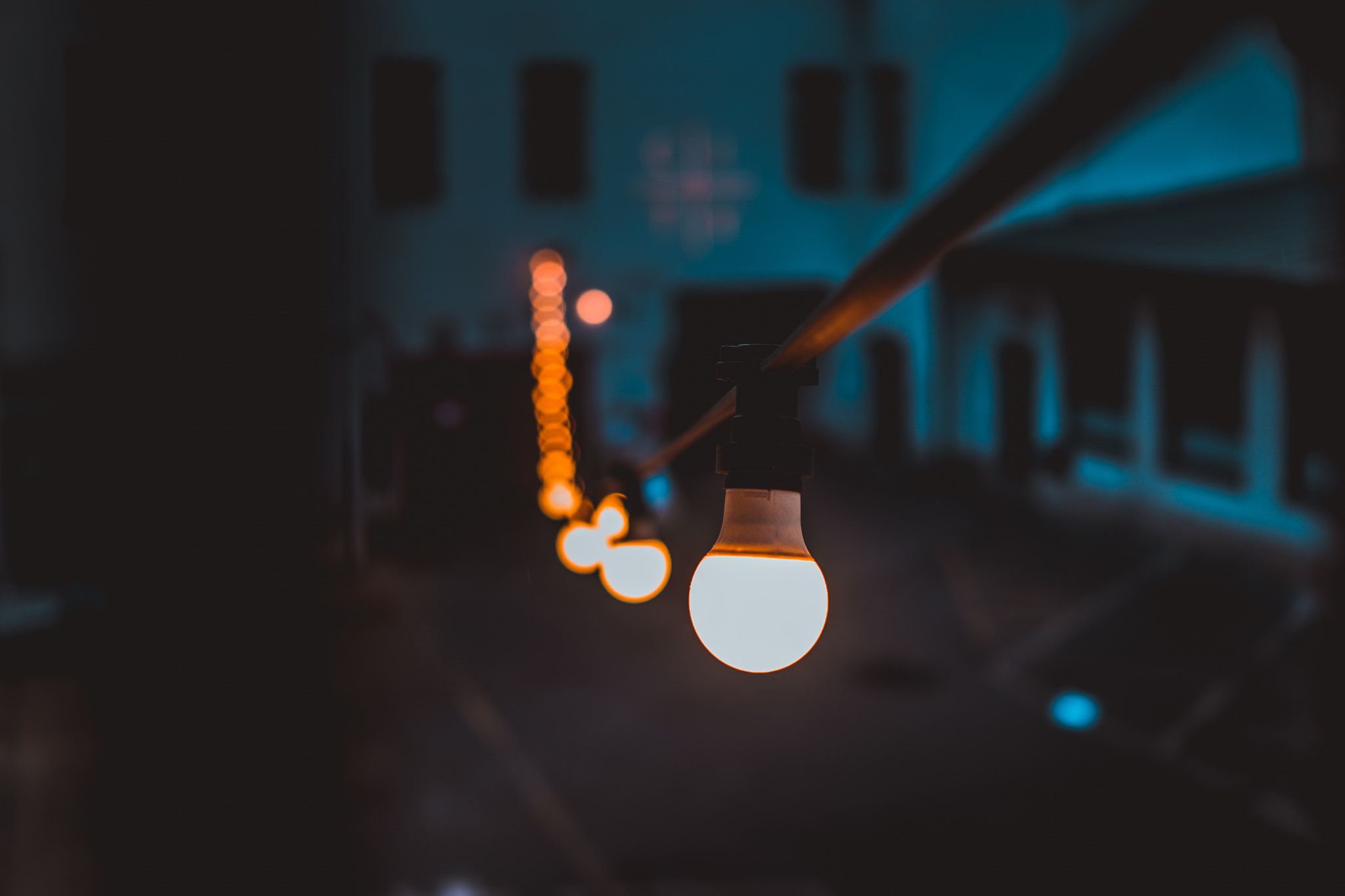 Sony Cyber-shot DSC-RX1R sample photo. Bulbs photography