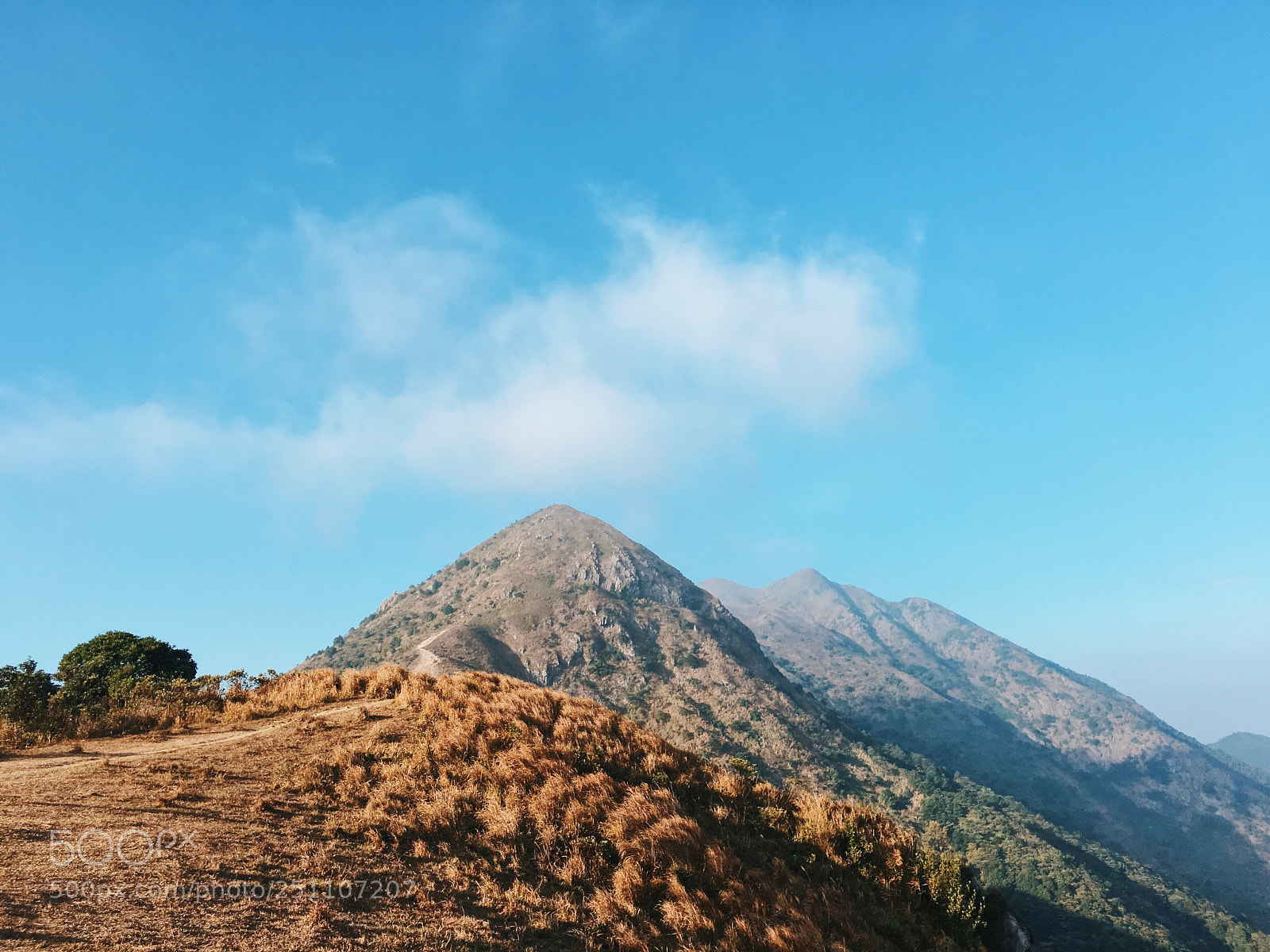 Apple iPhone 6s Plus sample photo. Tai kam chung photography