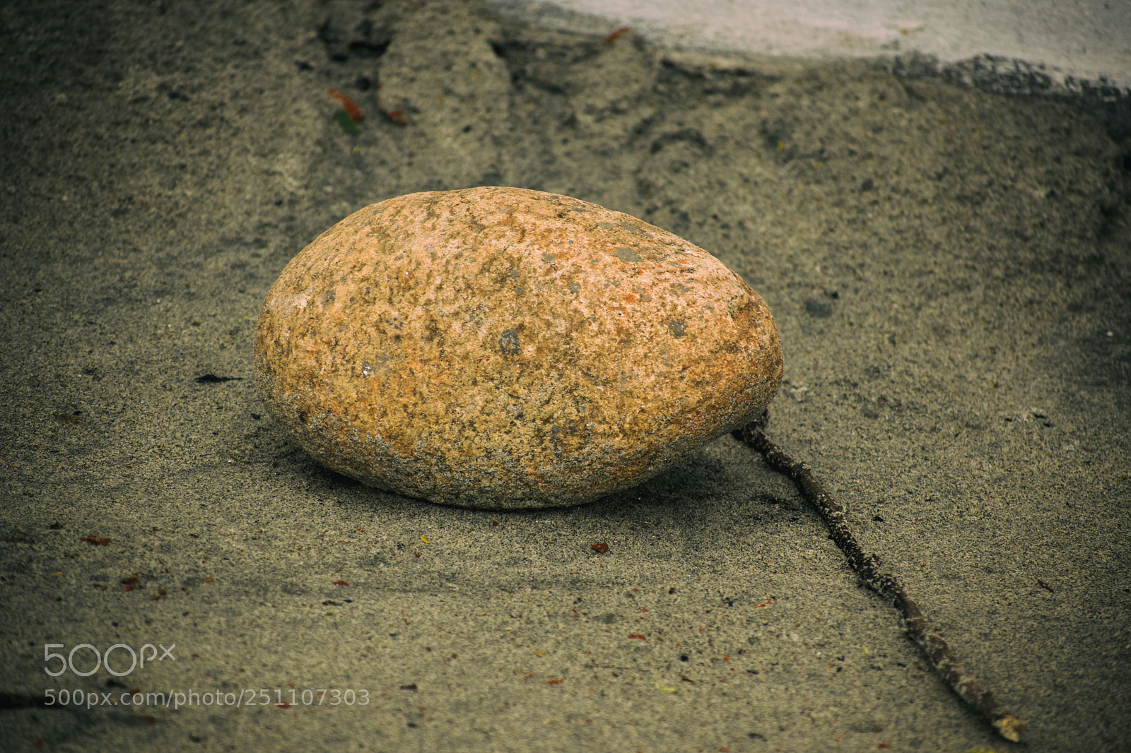 Nikon D5500 sample photo. Alone in nature photography