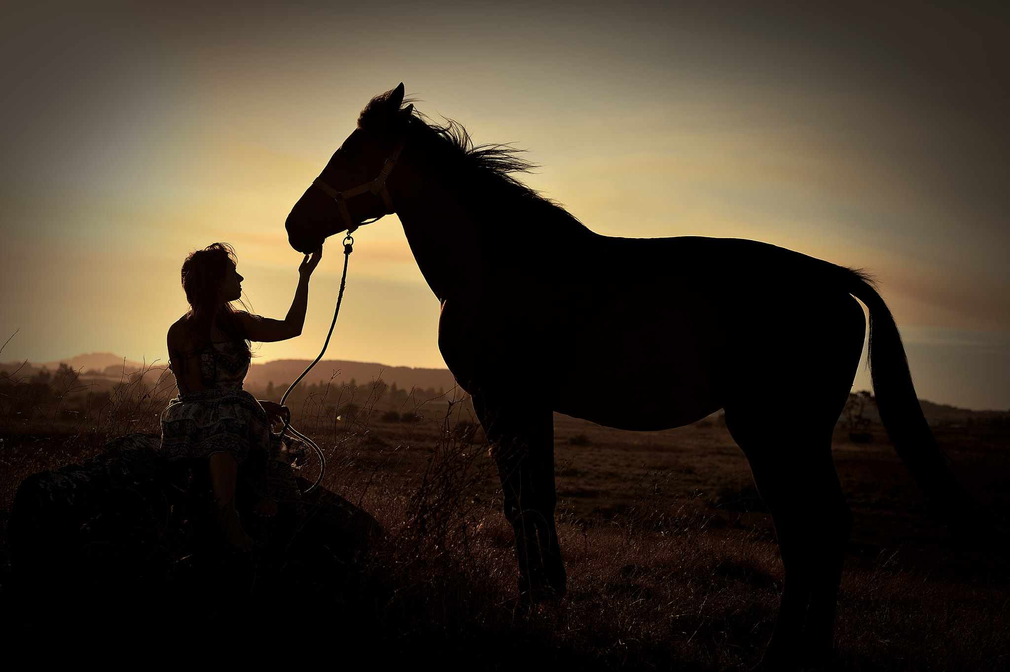 Nikon Df + Nikon AF-S Nikkor 50mm F1.8G sample photo. Horse ride sunset 2 photography