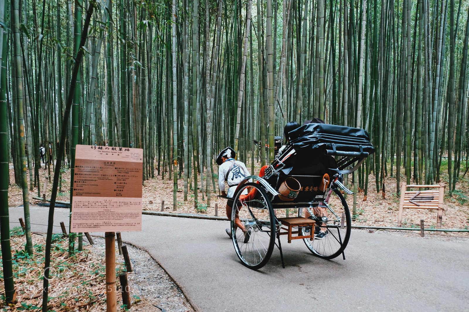 Fujifilm X-E2 sample photo. Processed with vsco with photography