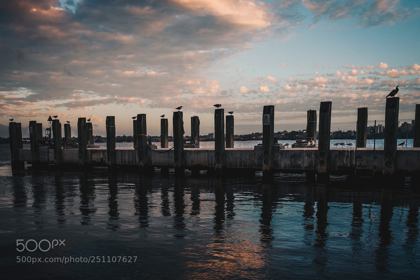 Fujifilm X-T10 sample photo. Swan river in perth photography