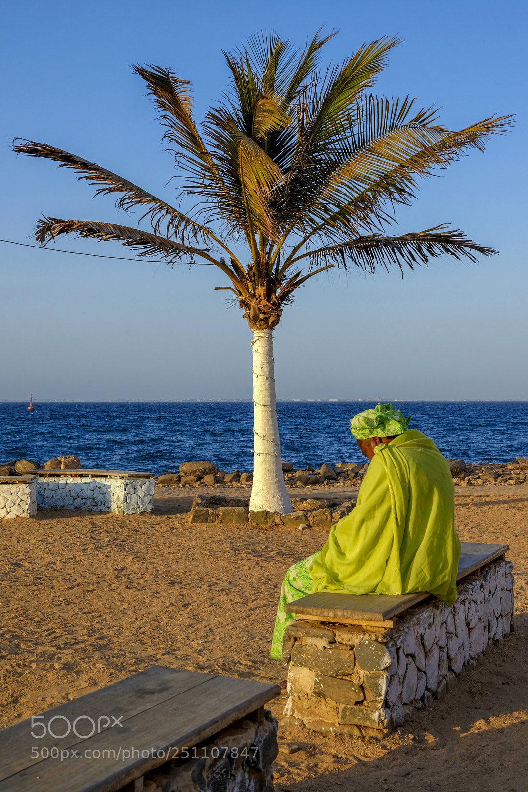 Nikon D600 sample photo. The waiting photography