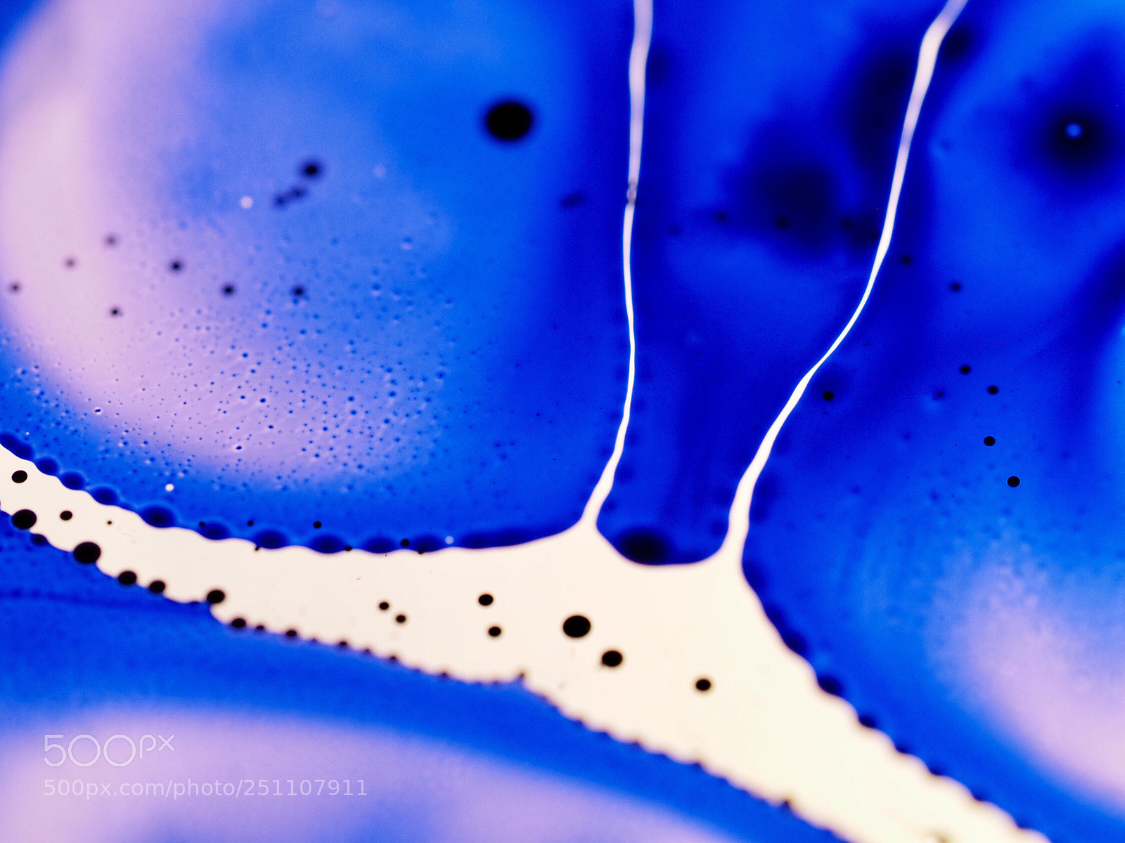 Olympus OM-D E-M1 sample photo. Sciart photography