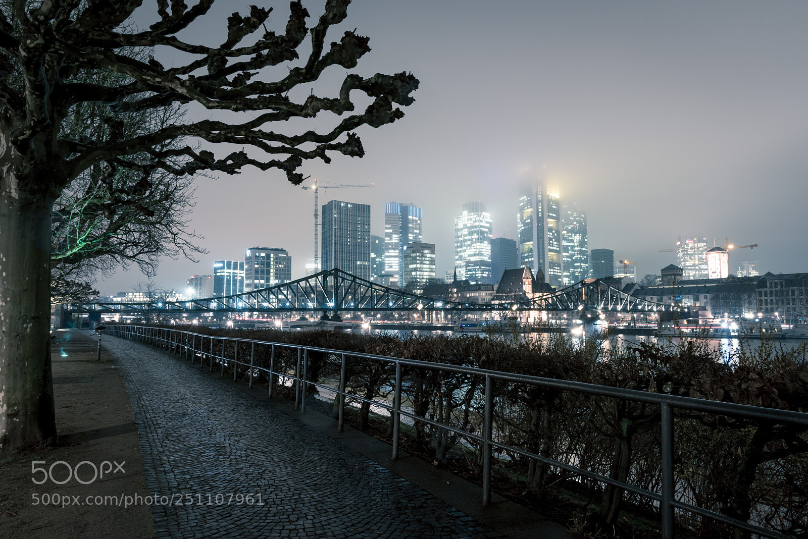 Nikon D810 sample photo. Frankfurt mist... photography
