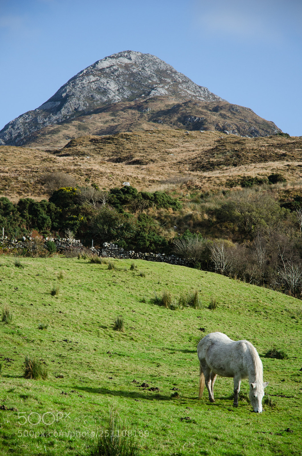 Nikon D7000 sample photo. Ireland photography