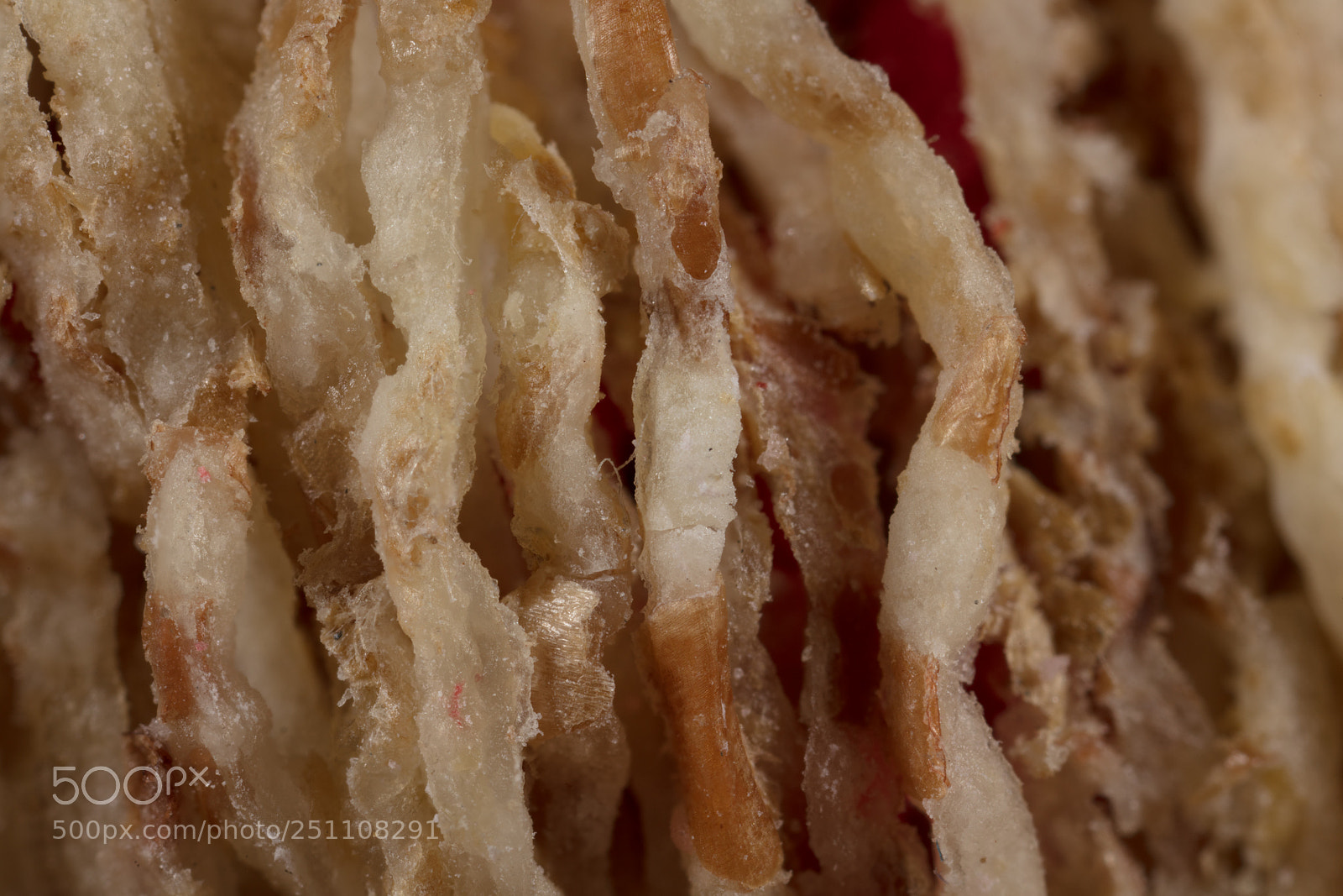 Canon EOS 5DS sample photo. Breakfast cereal photography