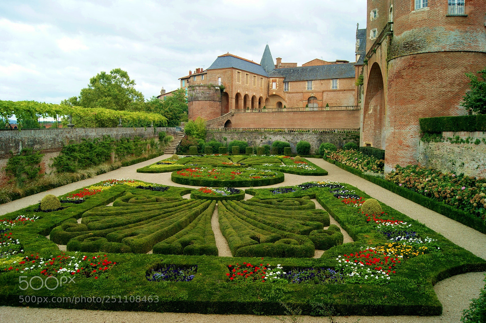 Sony Alpha DSLR-A290 sample photo. Garden of life photography