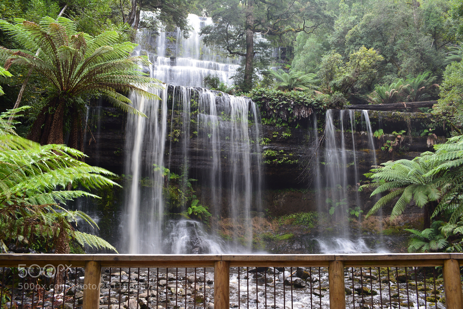 Nikon D5200 sample photo. Russell falls photography
