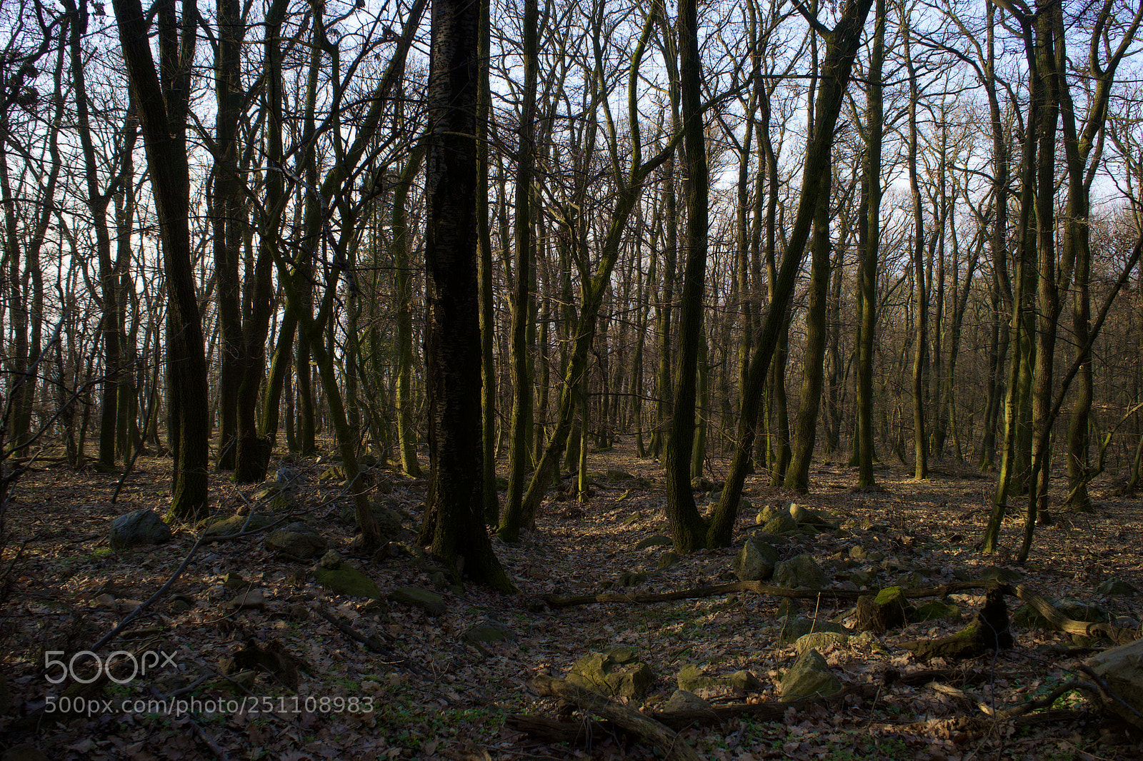Sony a7 sample photo. Old road photography
