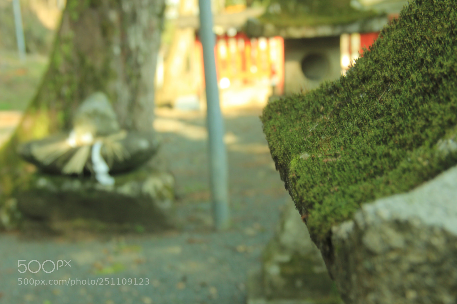 Canon EF-S 18-135mm F3.5-5.6 IS sample photo. Faith of stone photography