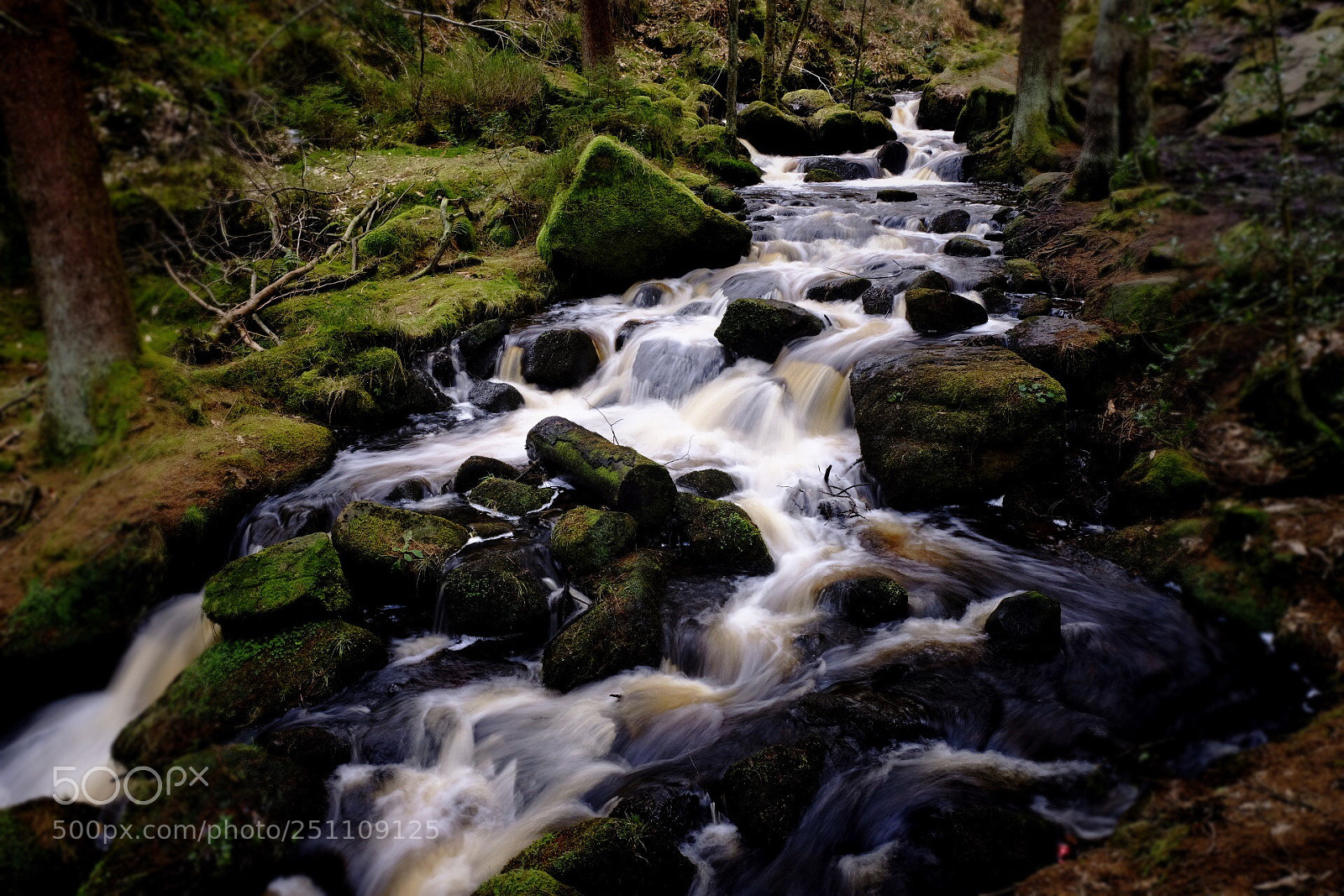 Fujifilm X-T20 sample photo. Wyming brook in spring photography