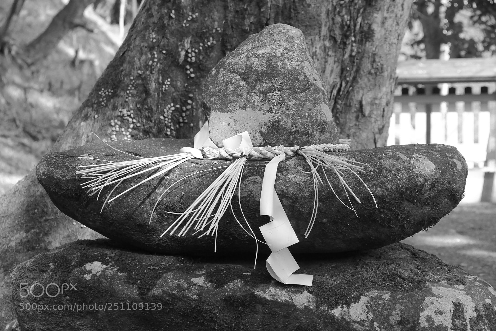 Canon EF-S 18-135mm F3.5-5.6 IS sample photo. Faith of stone photography