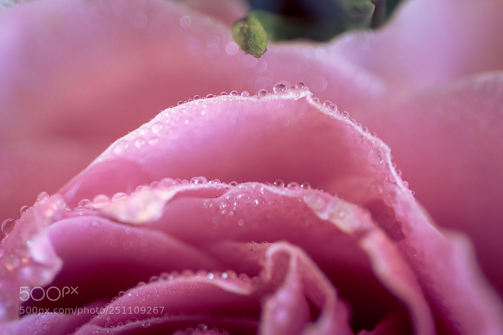 Sony a6000 sample photo. Drops photography