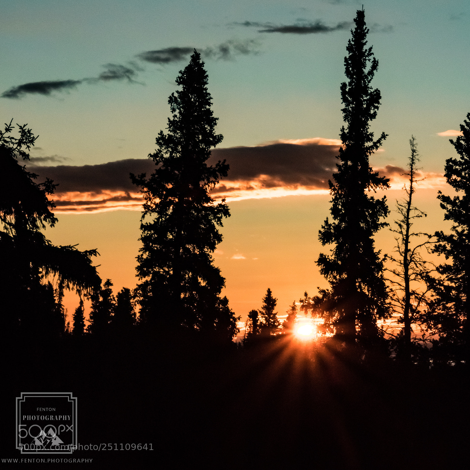 Canon EOS 760D (EOS Rebel T6s / EOS 8000D) sample photo. Winter sunflare photography