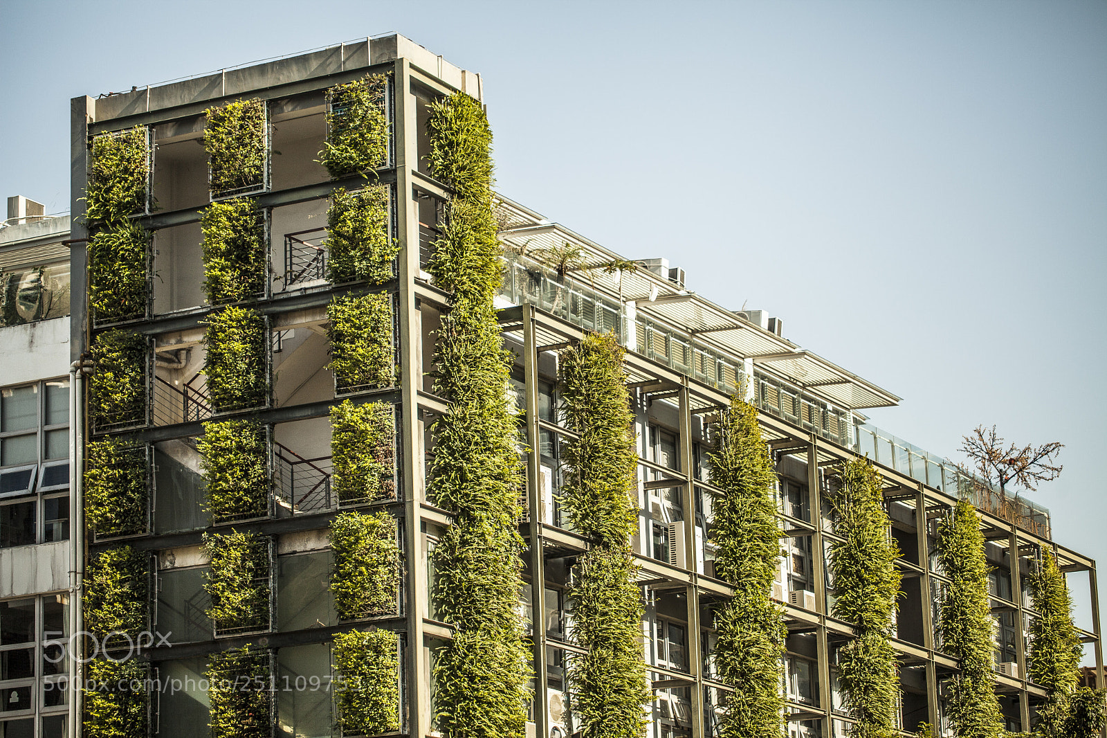 Canon EOS 5D Mark II sample photo. Green building photography