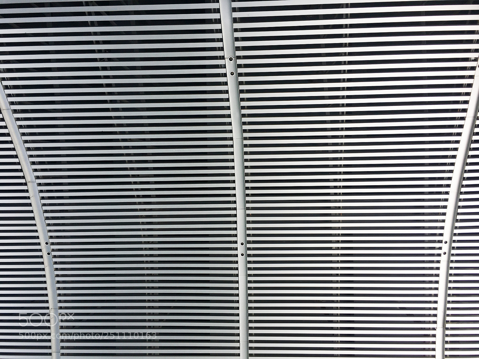 Apple iPhone 6s sample photo. 網 photography