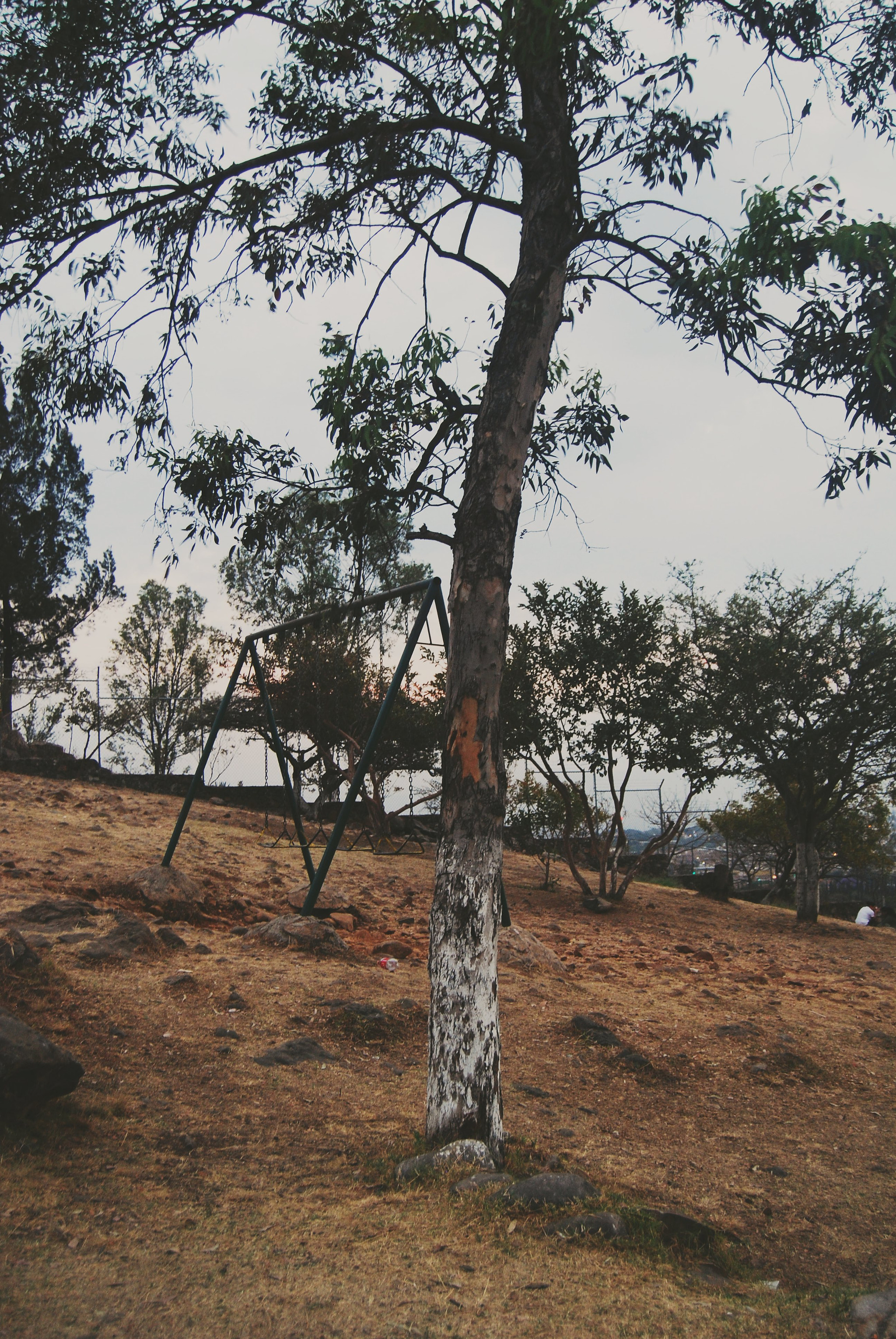 Nikon D40X sample photo. Earth photography