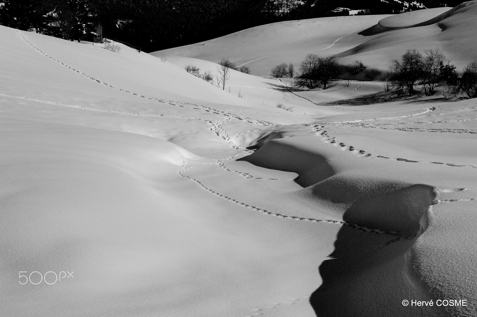 Canon EOS 600D (Rebel EOS T3i / EOS Kiss X5) sample photo. Neige photography