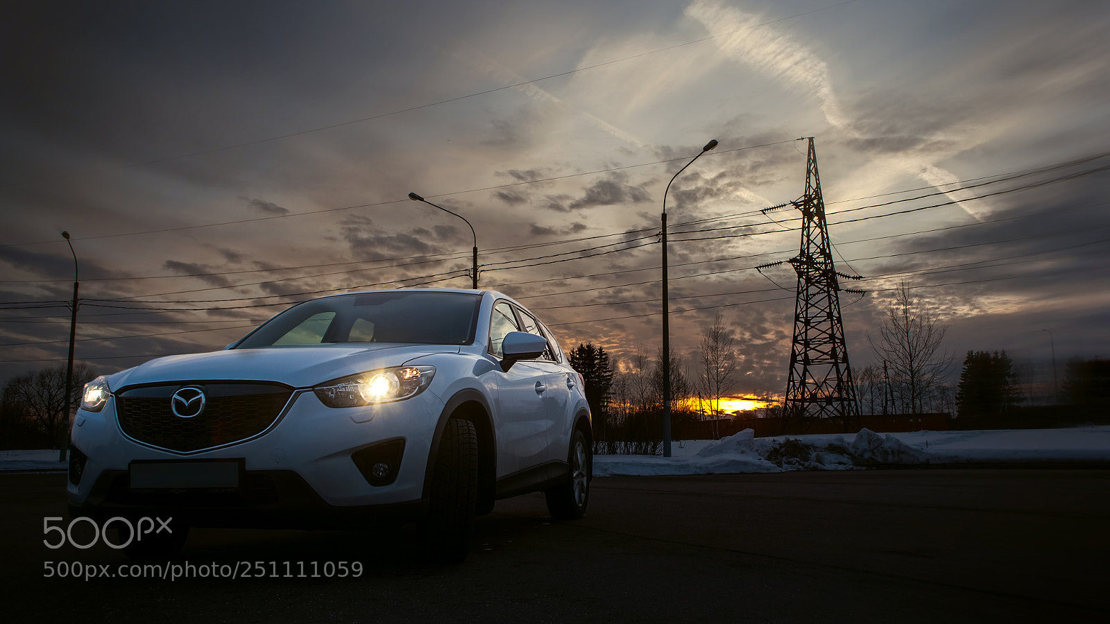 Canon EOS 5D Mark II sample photo. Polarbear photography