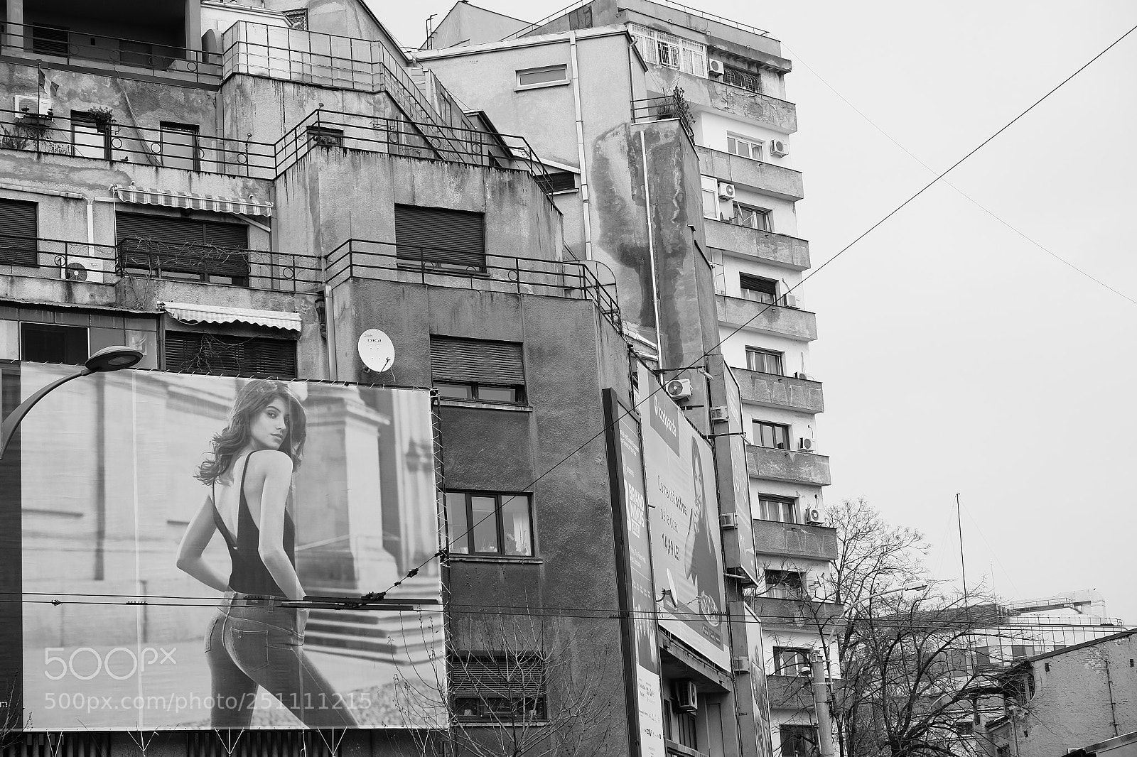 Fujifilm X-E2S sample photo. A breathe of youth photography