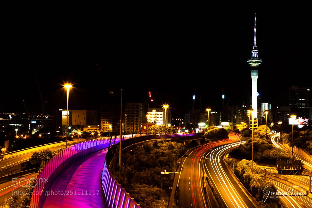 Canon EOS 5D Mark II sample photo. Follow the path photography