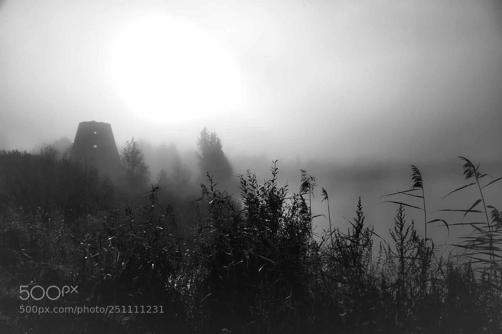 Canon EOS-1D X sample photo. Old mill... photography