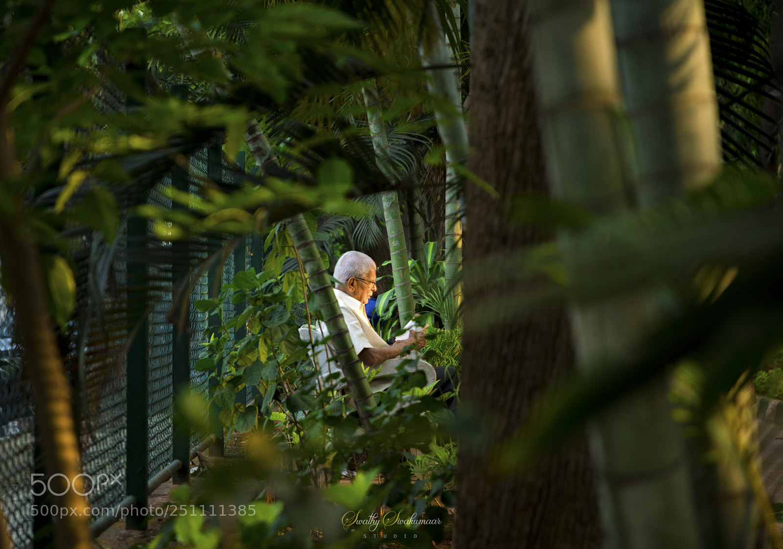 Canon EOS 5D Mark IV sample photo. Green? photography