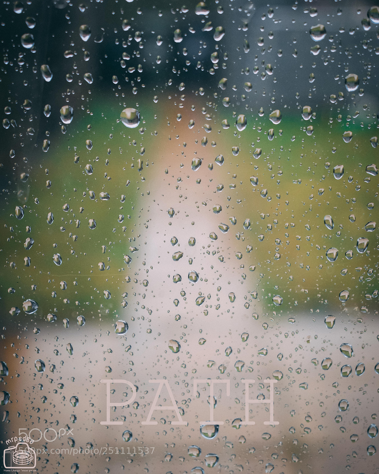 Nikon D3300 sample photo. The path, not always photography