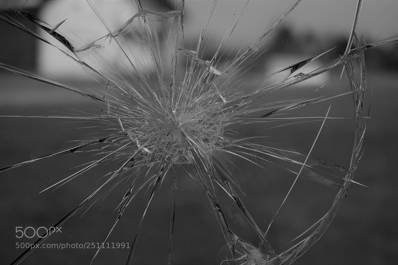 Nikon D5300 sample photo. Broken photography