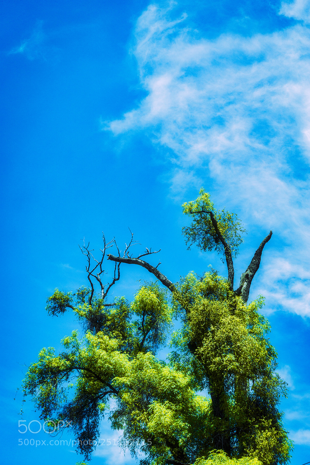Sony a6000 sample photo. In my sky at photography