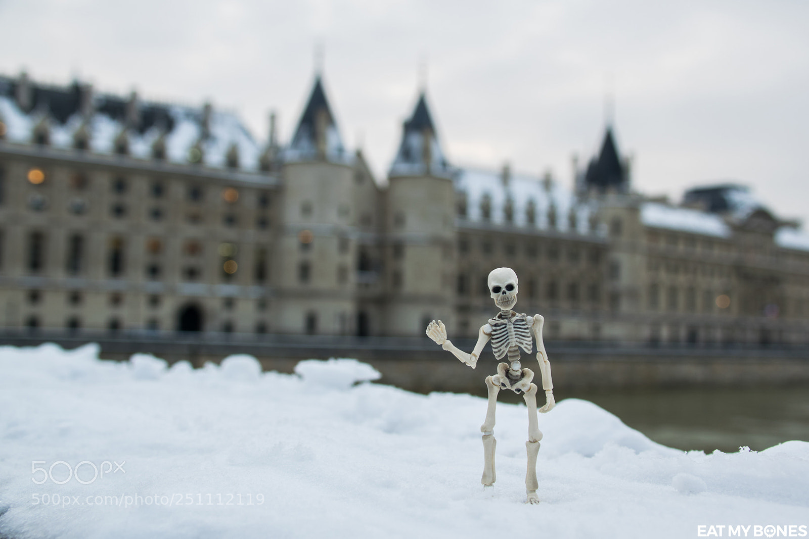Nikon D5300 sample photo. Paris under the snow photography