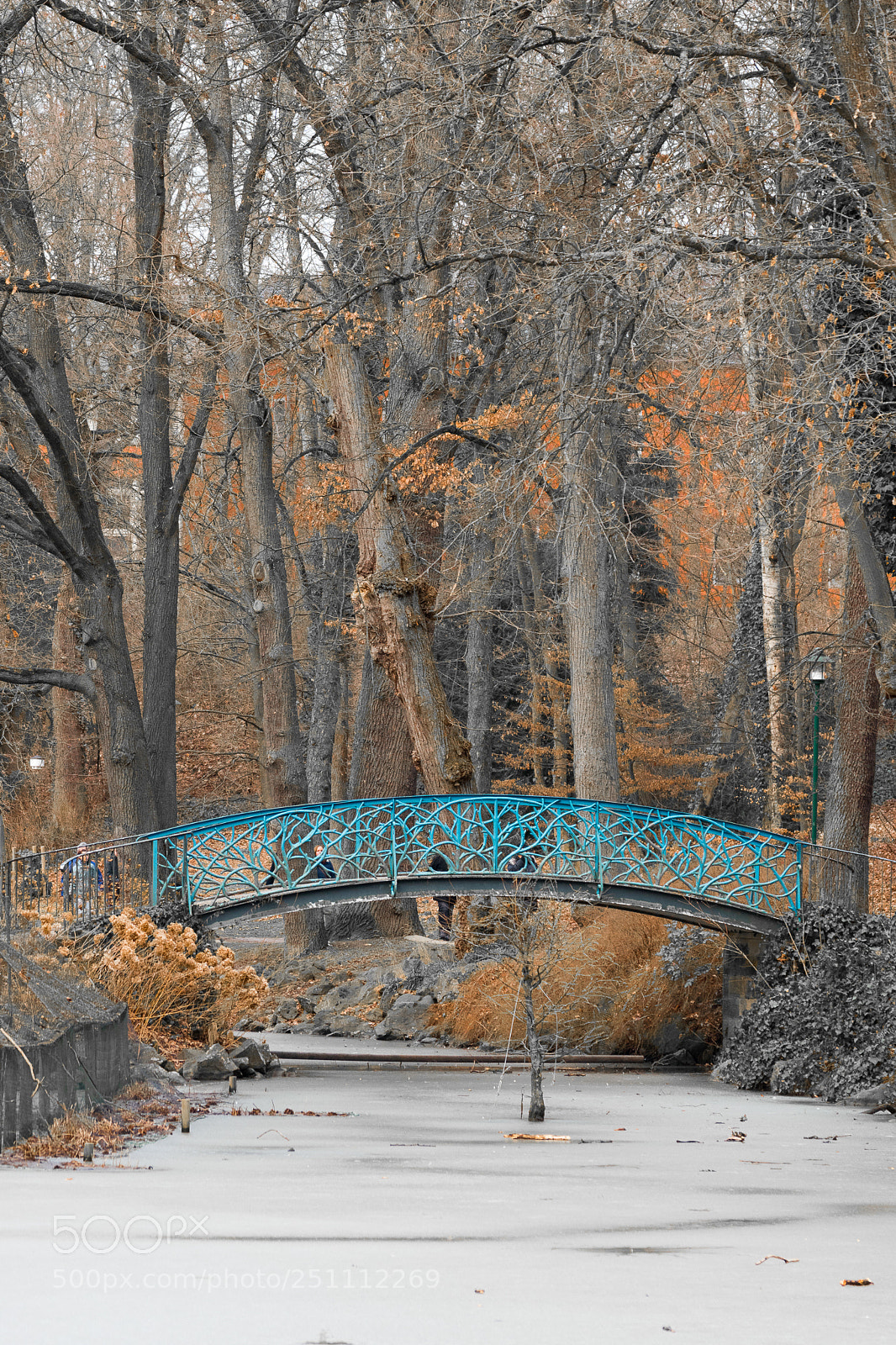 Nikon D5500 sample photo. Bridge photography