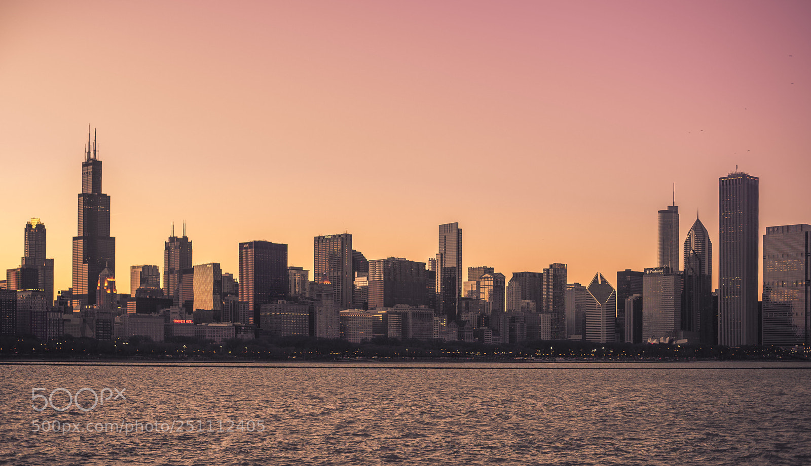 Nikon D750 sample photo. Sunset in chicago  photography