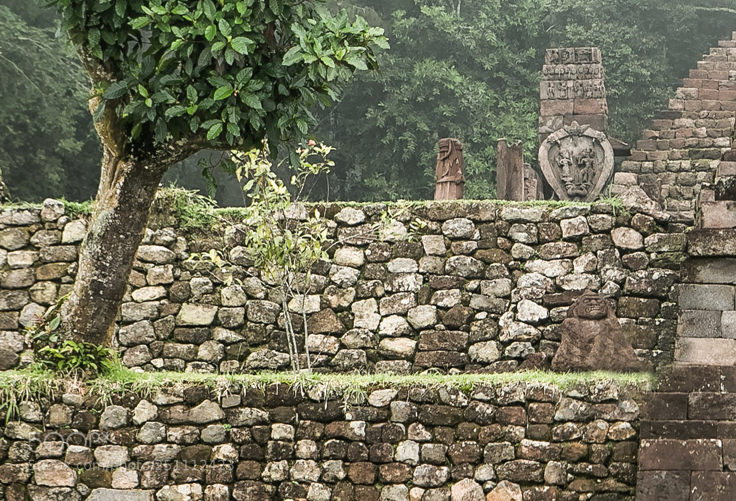 Canon EOS 5D Mark IV sample photo. The wall - sukuh photography