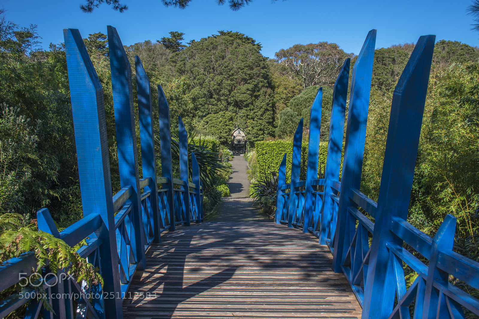 Nikon D5500 sample photo. Dsc photography