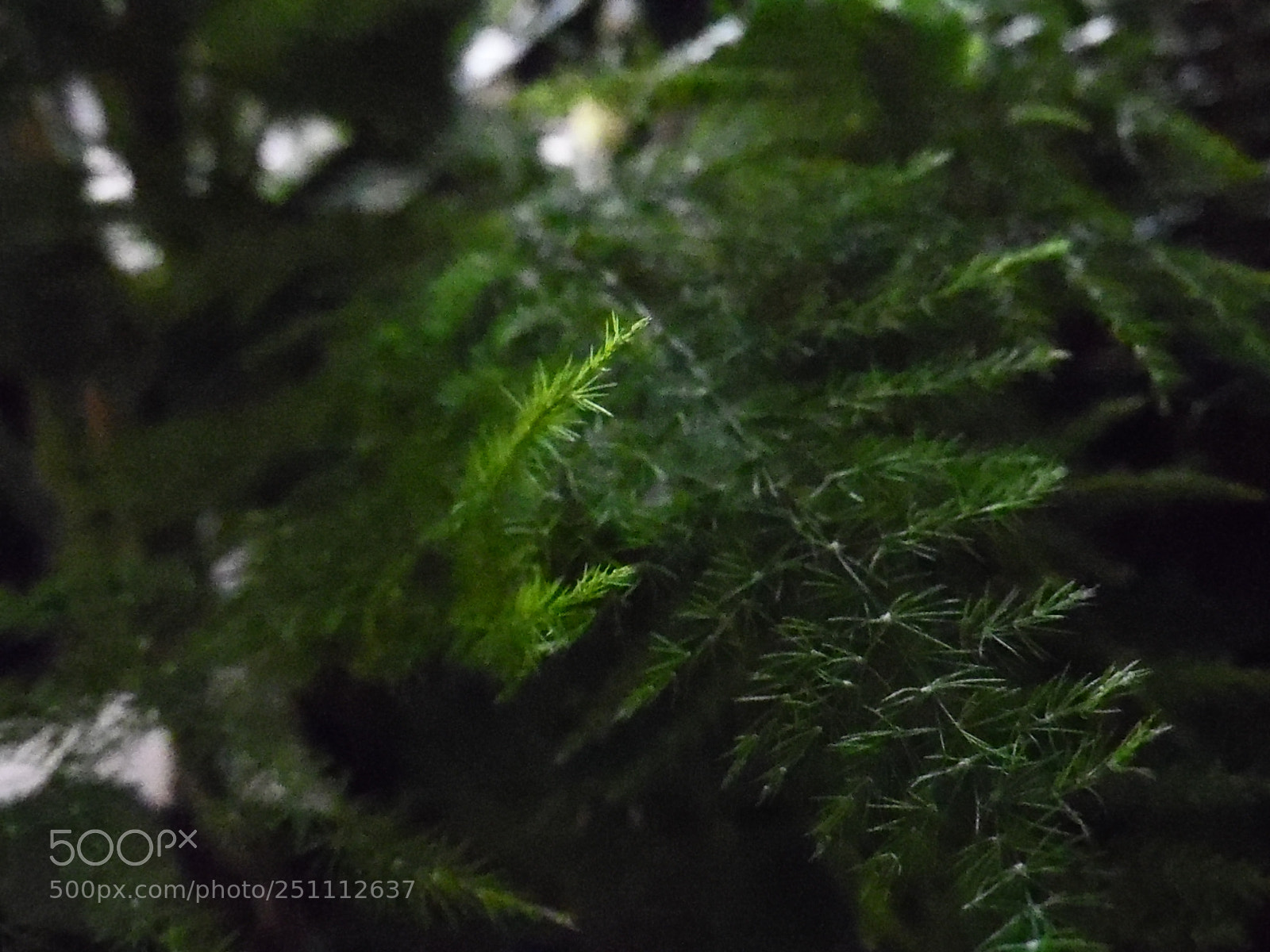 Samsung WB1100F/WB1101F/WB1102F sample photo. Life photography