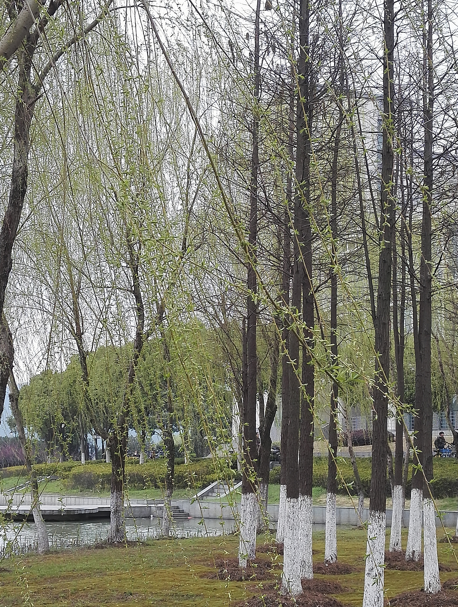 HUAWEI Honor 7 sample photo