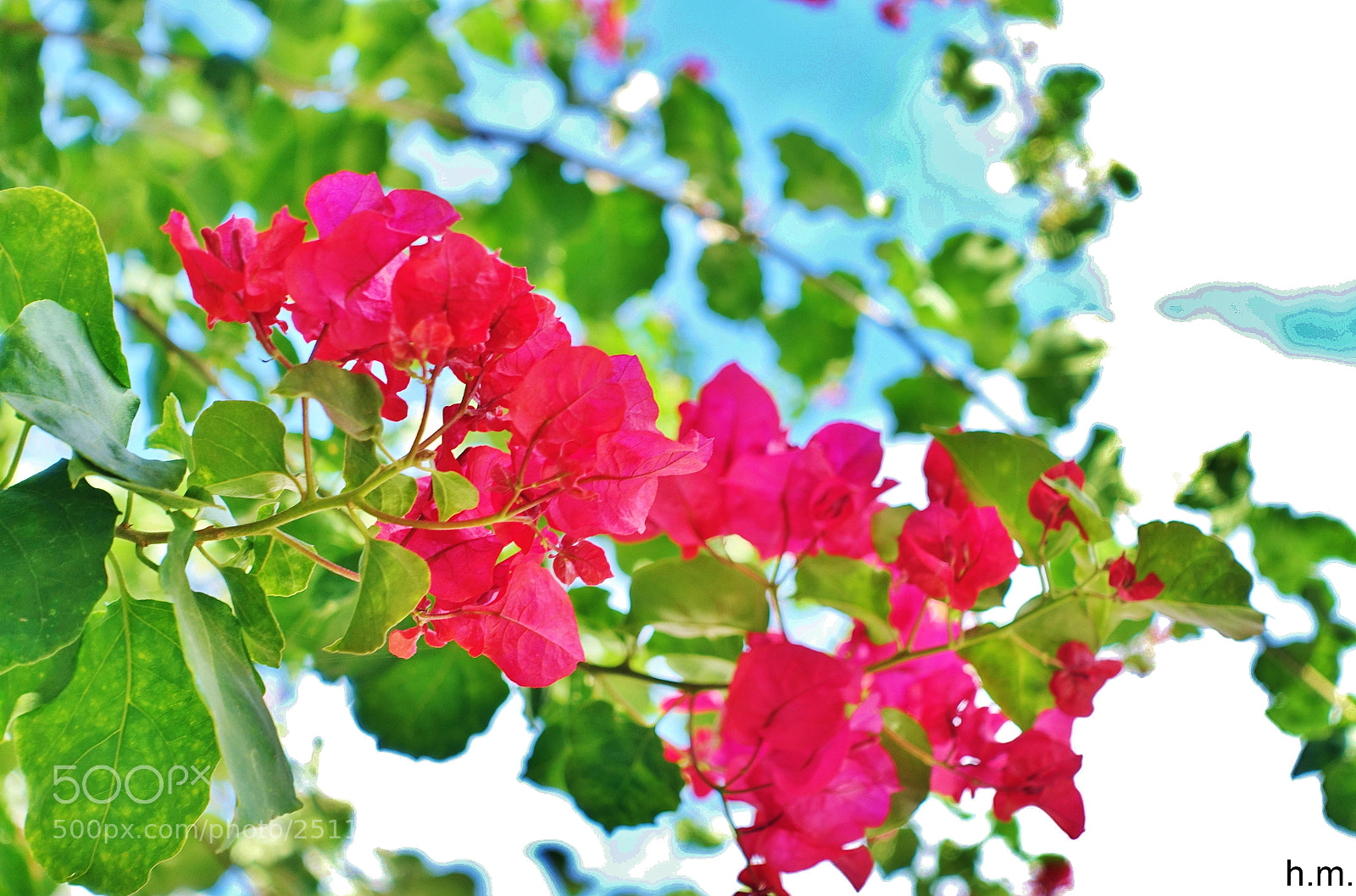 Sony Cyber-shot DSC-RX100 III sample photo. Fao photography