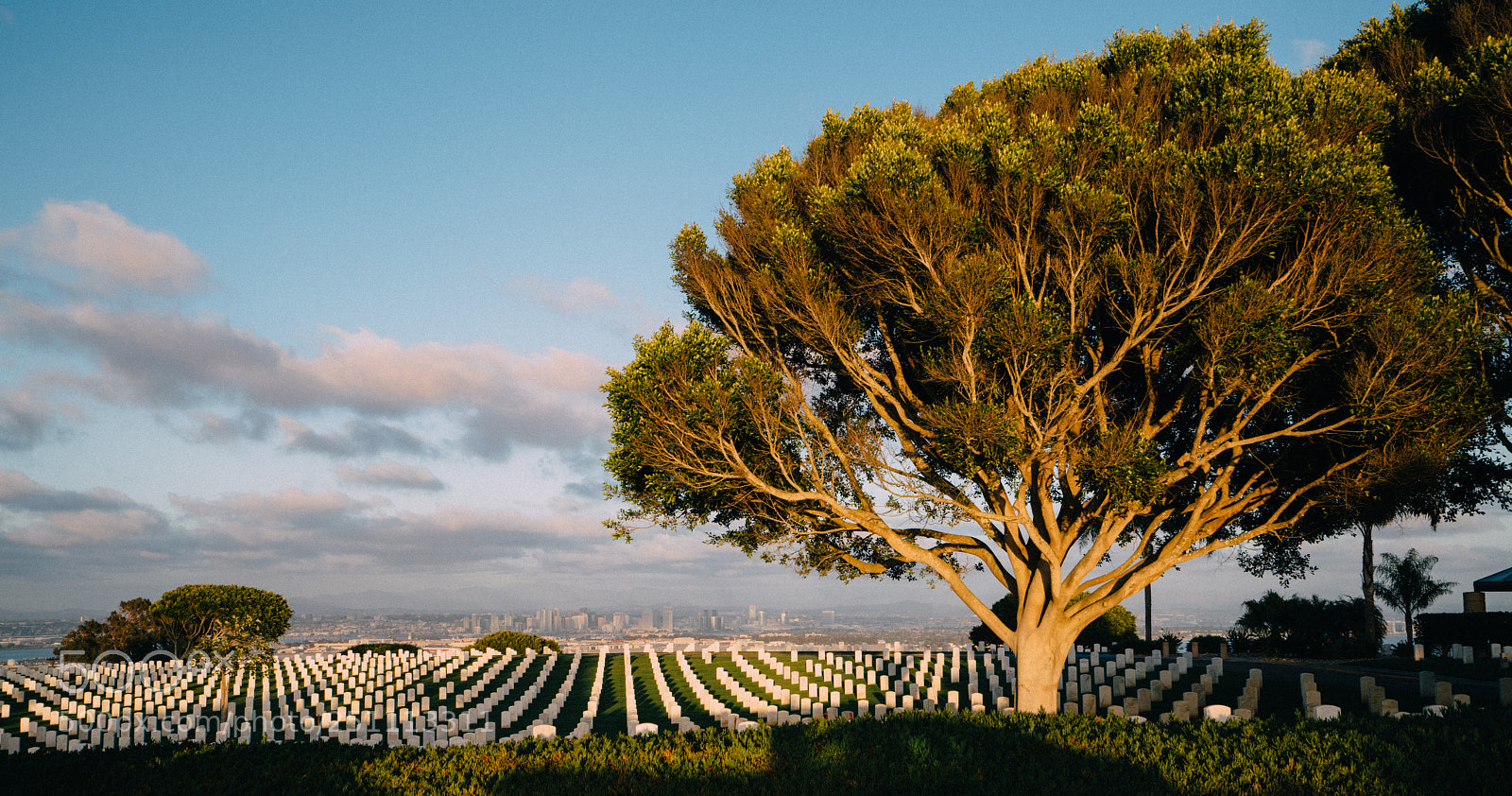 Sony a7R II sample photo. Grove photography
