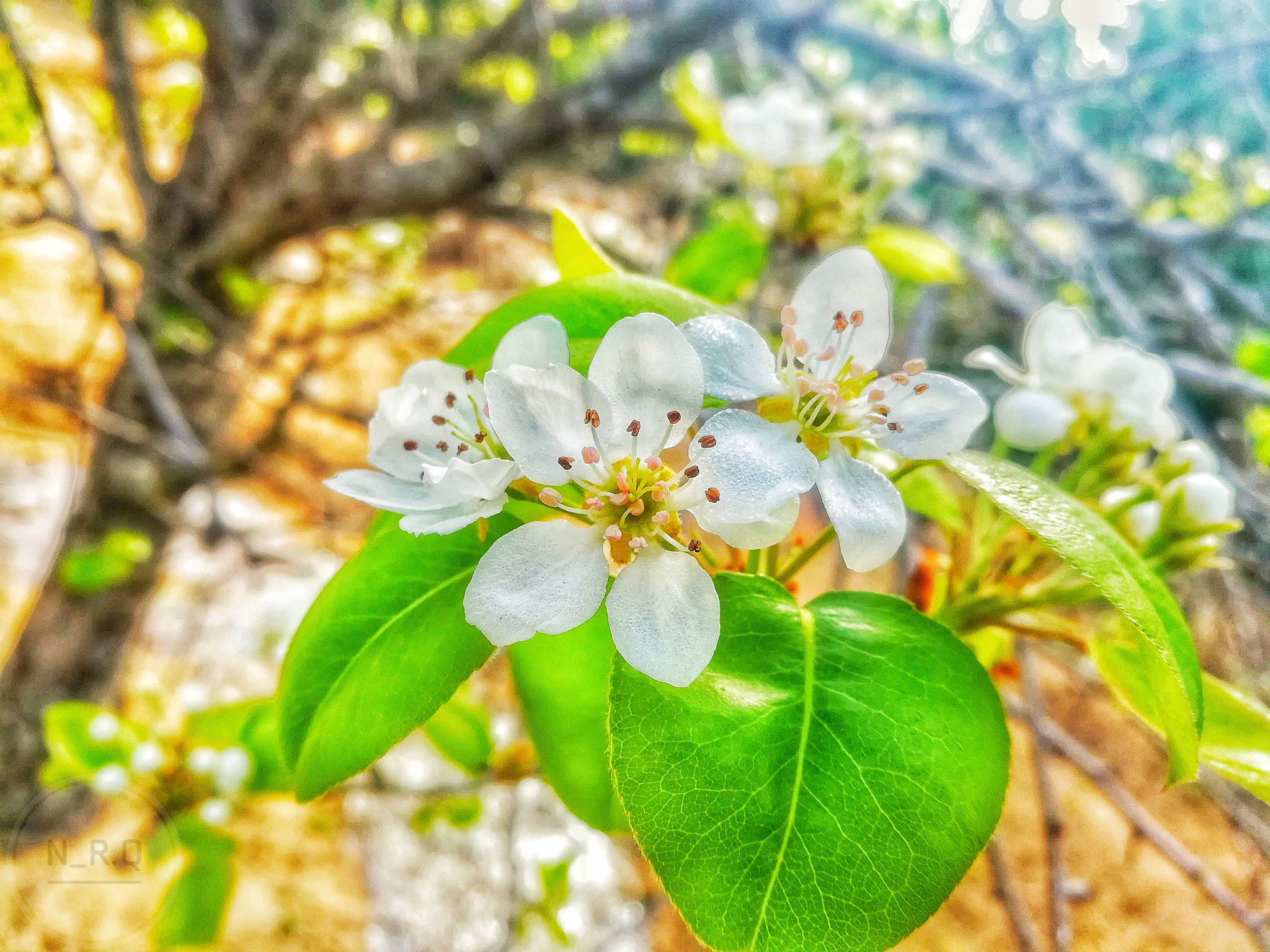 HUAWEI GR5 2017 sample photo